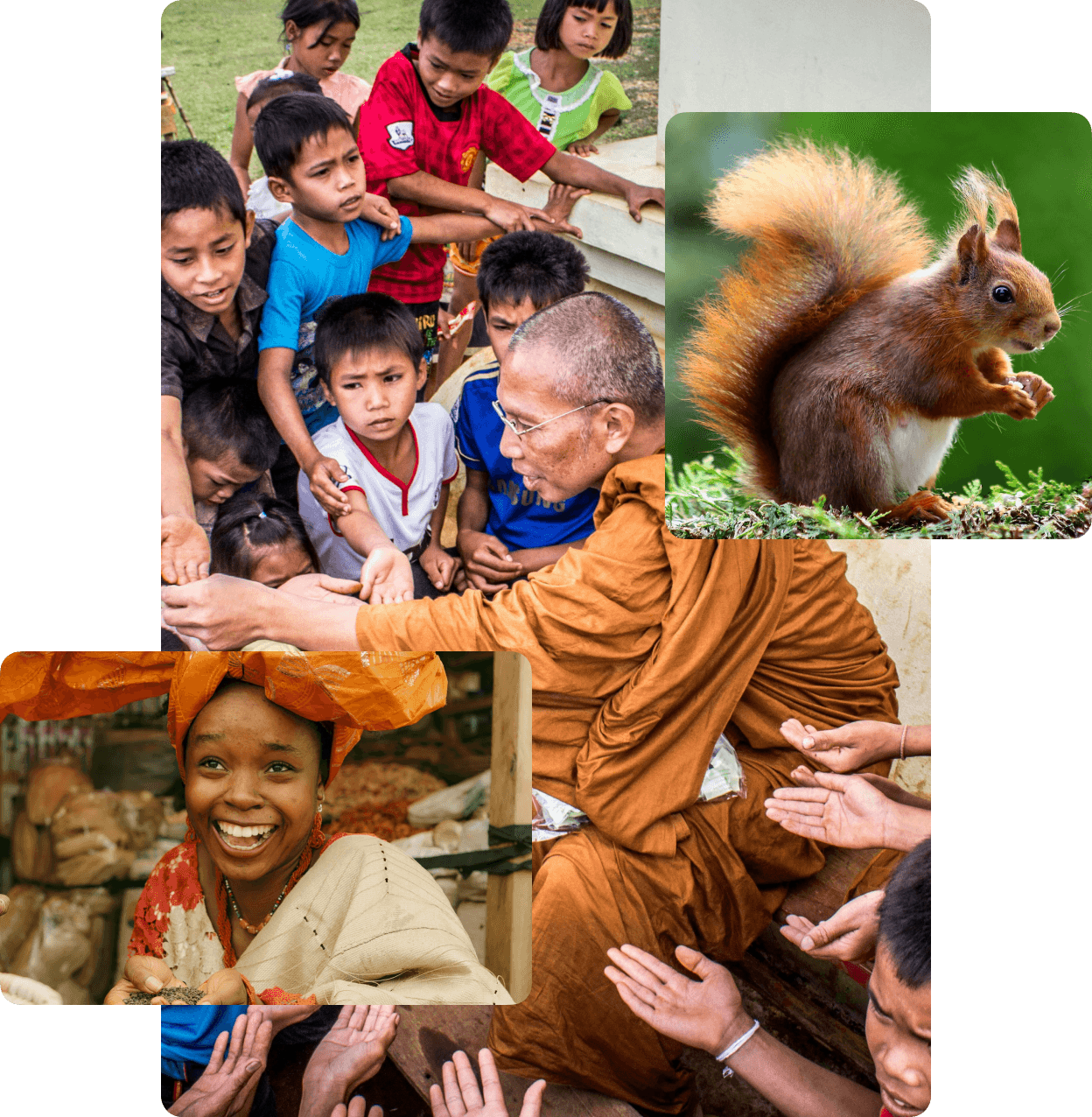 collage of images about giving to the poor, happiness and nature