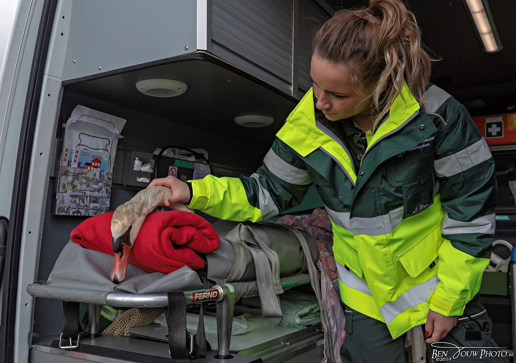 Wil je mij sponsoren voor Dierenambulance Amsterdam?