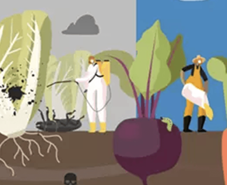 Wil je mij sponsoren voor Foodwatch?