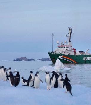 Would you like to sponsor me for Greenpeace?